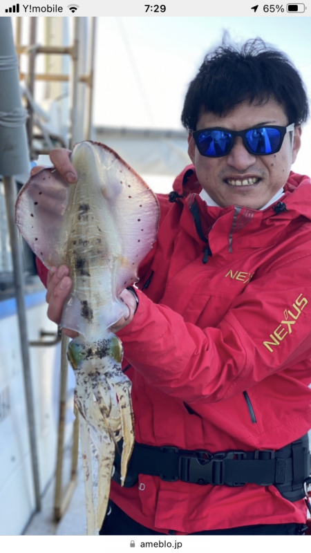 アオリイカ釣り