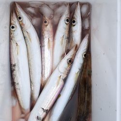 冷たい雨の釣り