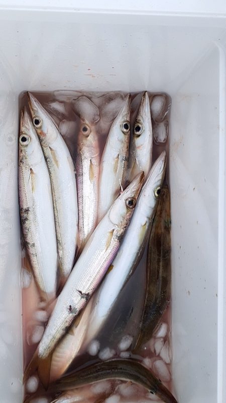 冷たい雨の釣り