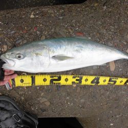 朝の猛打賞は8時から