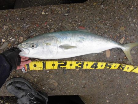 朝の猛打賞は8時から