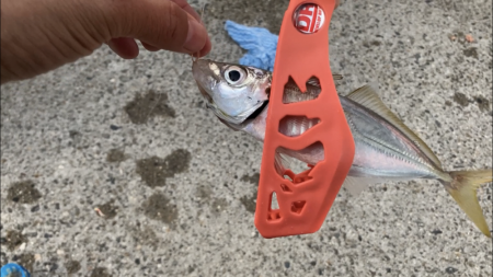 アジ釣り