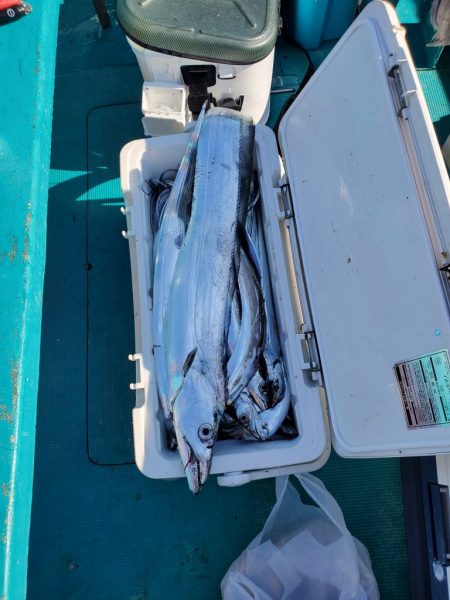 今年5~6回目？の船タチ