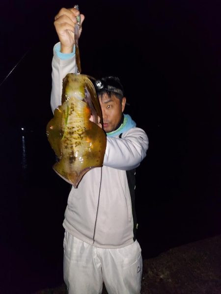 アオリイカ終盤戦2