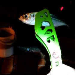 夜明けまでが勝負