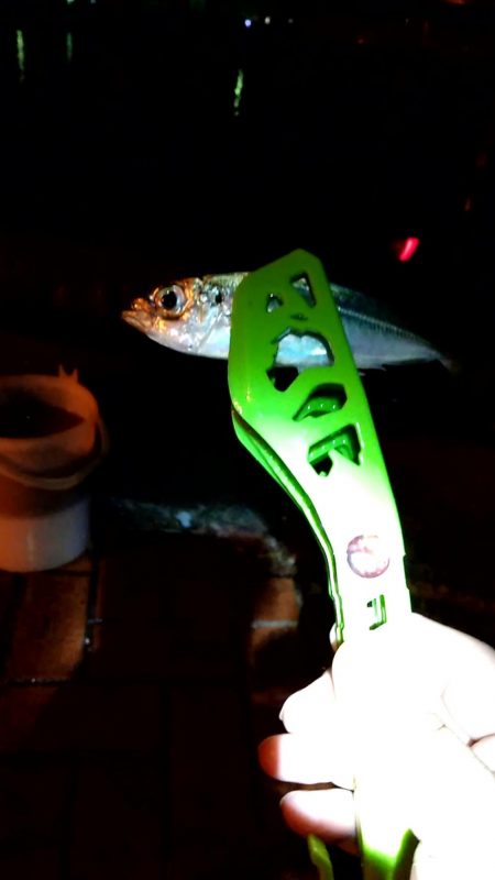 夜明けまでが勝負