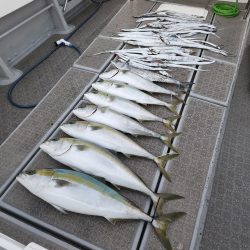 ブリ、太刀魚 ジギング行ってきました。