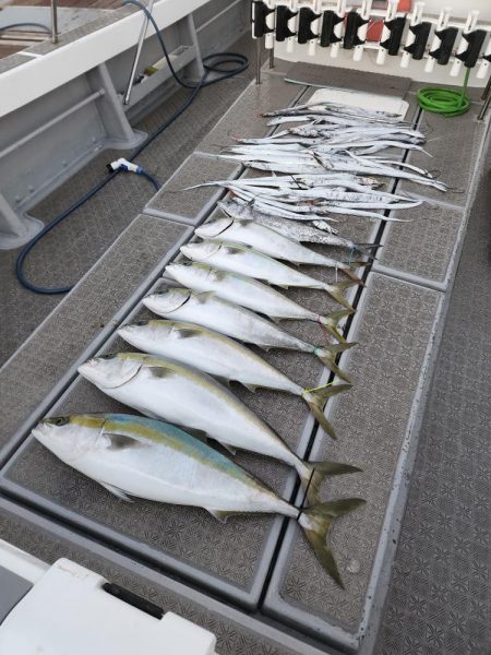 ブリ、太刀魚 ジギング行ってきました。