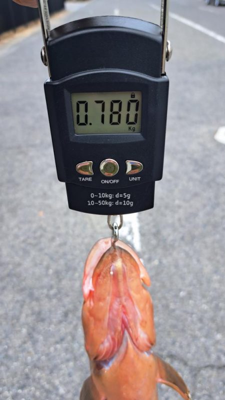 お久しぶりです