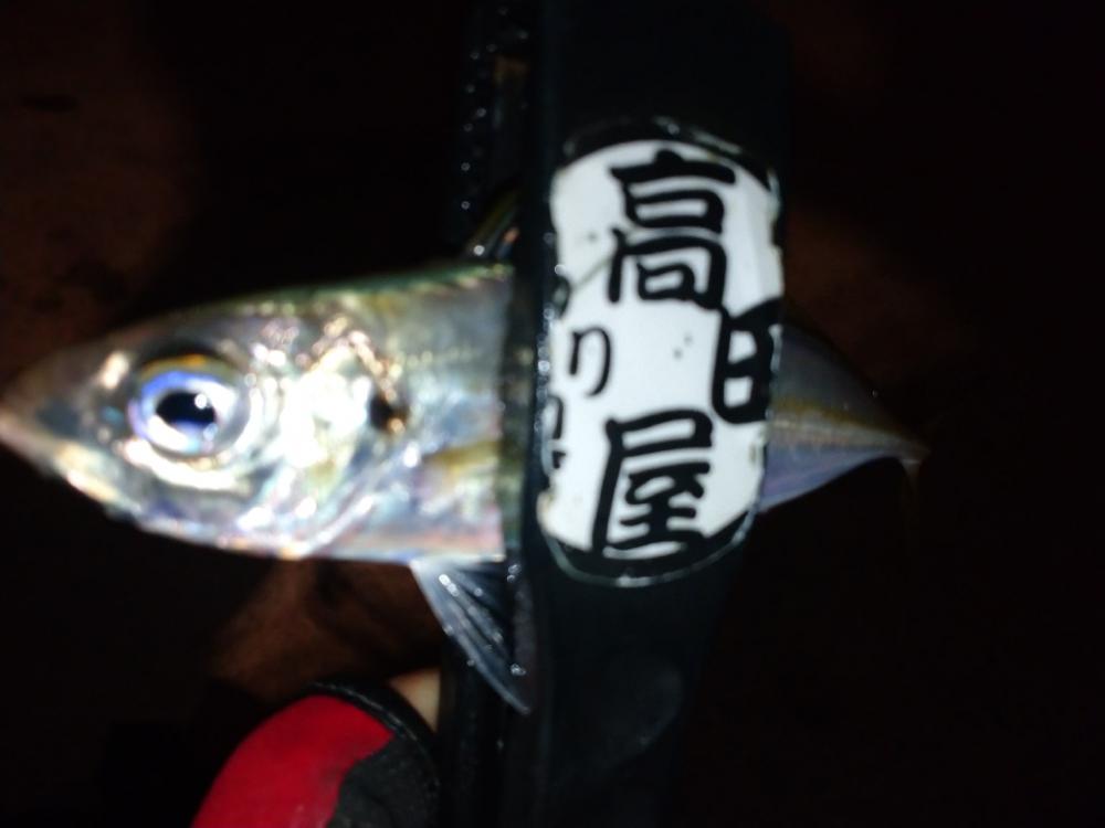 今夜も厳しかった