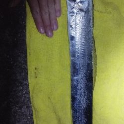 釣りと天体観測