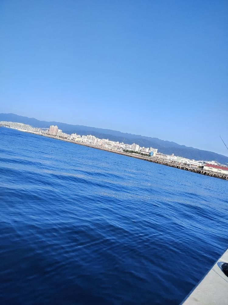 ショアジギング