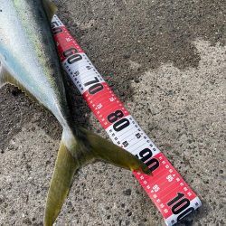 ★★怪物現れる★★