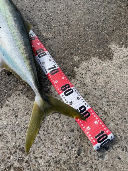 ★★怪物現れる★★