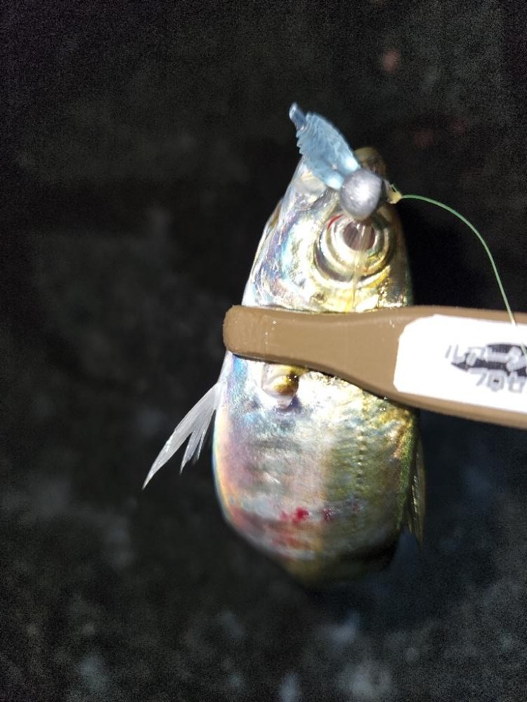 雨の前に・・・