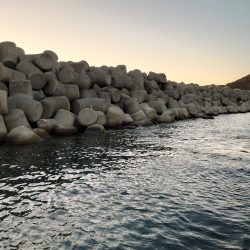 クロ釣り(畝刈)