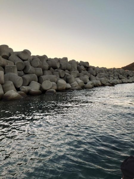 クロ釣り(畝刈)