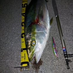 夕暮れのプチsalt water game