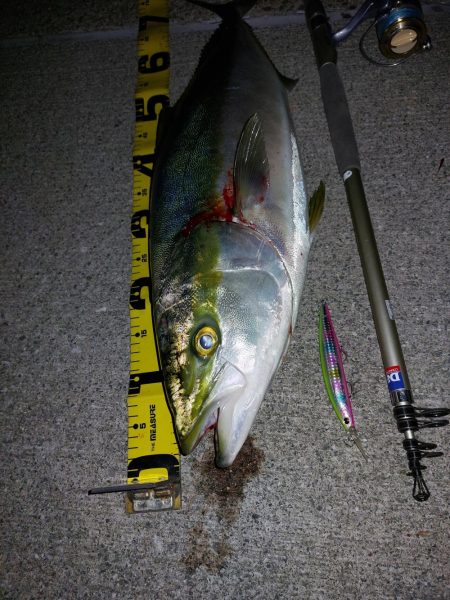 夕暮れのプチsalt water game…