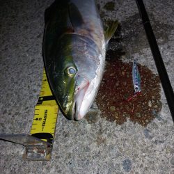 夕暮れのプチsalt water game