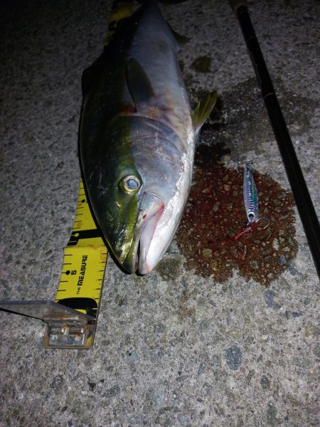 夕暮れのプチsalt water game