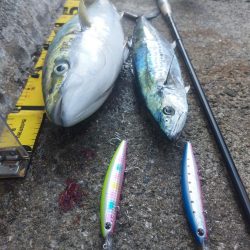 プチsalt water game