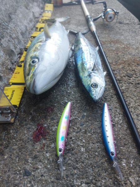 プチsalt water game