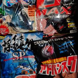 和歌山市江（吉丸渡船）で磯フカセ