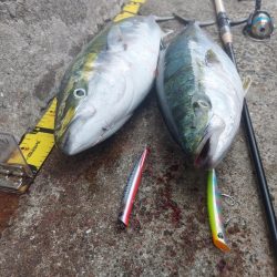 プチsalt water game