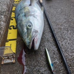 プチsalt water game