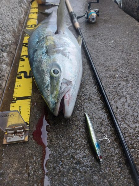 プチsalt water game