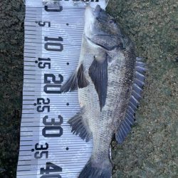 イチノ兄弟(兄)釣果!