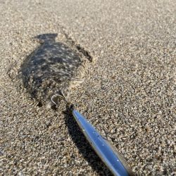 サーフヒラメ狙い