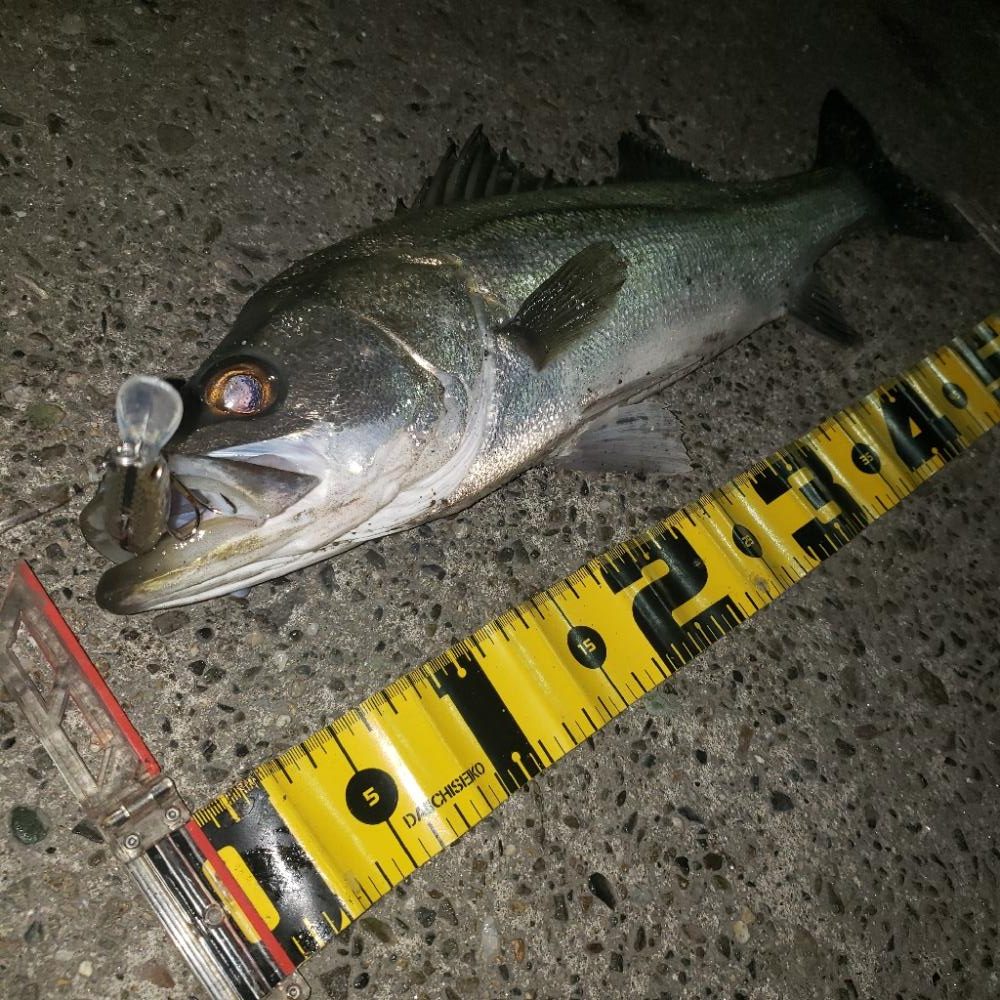 バックリ食い付いたね!