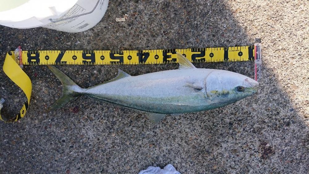 2022播磨遠征第4回