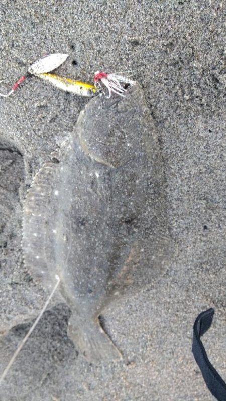 久々のショアジギで釣れたのは？
