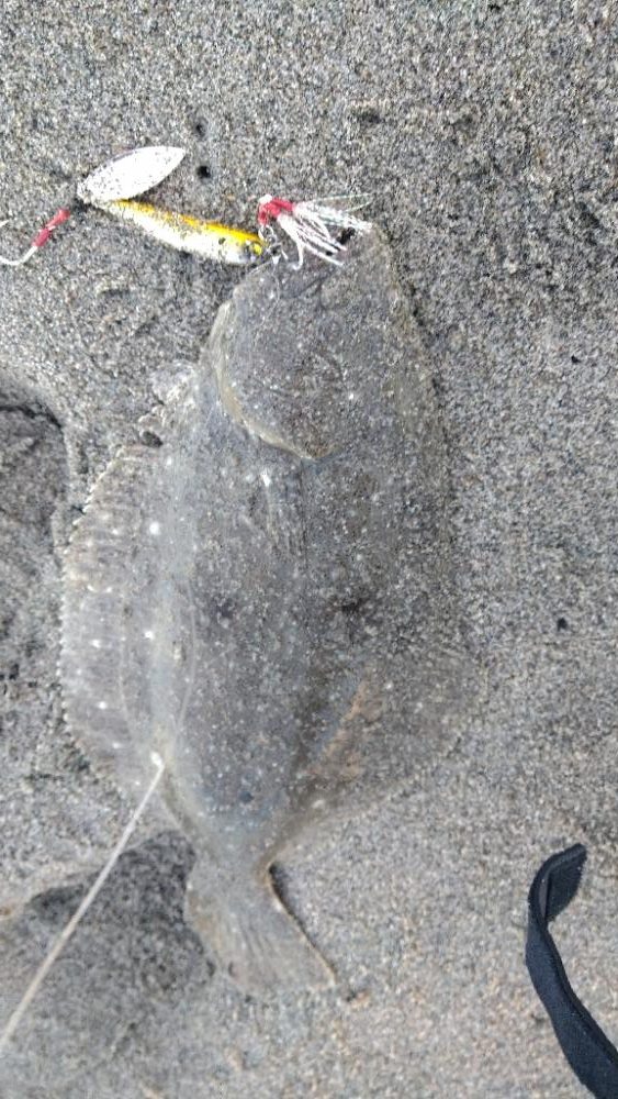 久々のショアジギで釣れたのは?