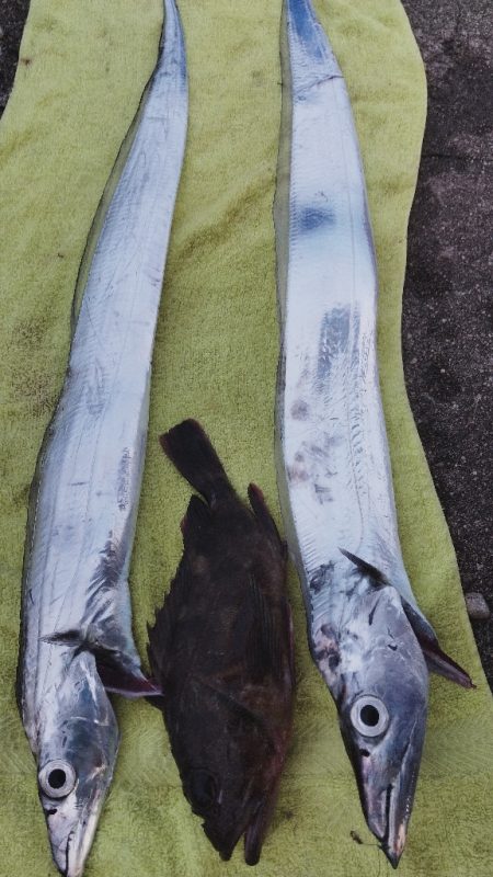 一歩間違えばボウズ