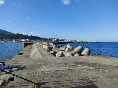 朝まづめ、淡路島の富島漁港にてメジロ