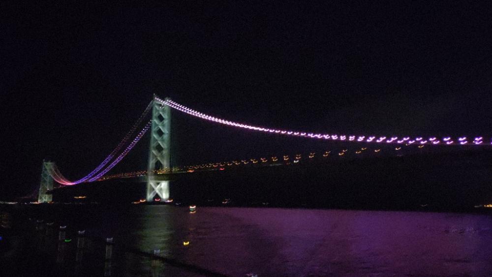 アジュール舞子 小アジいます!