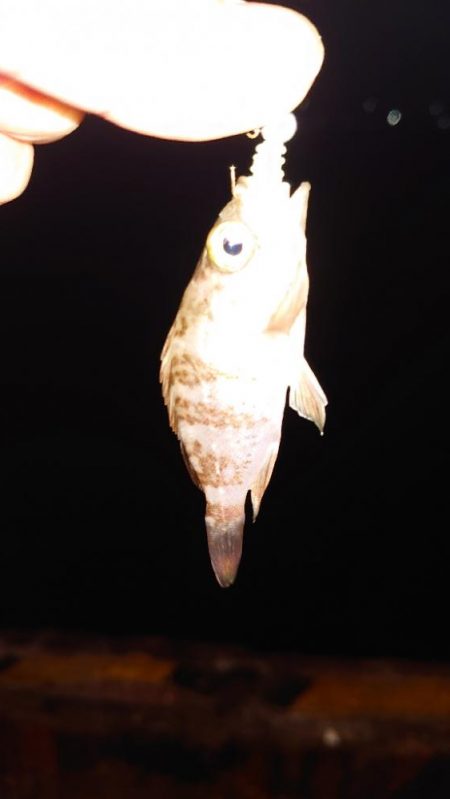 時間帯が難しいね