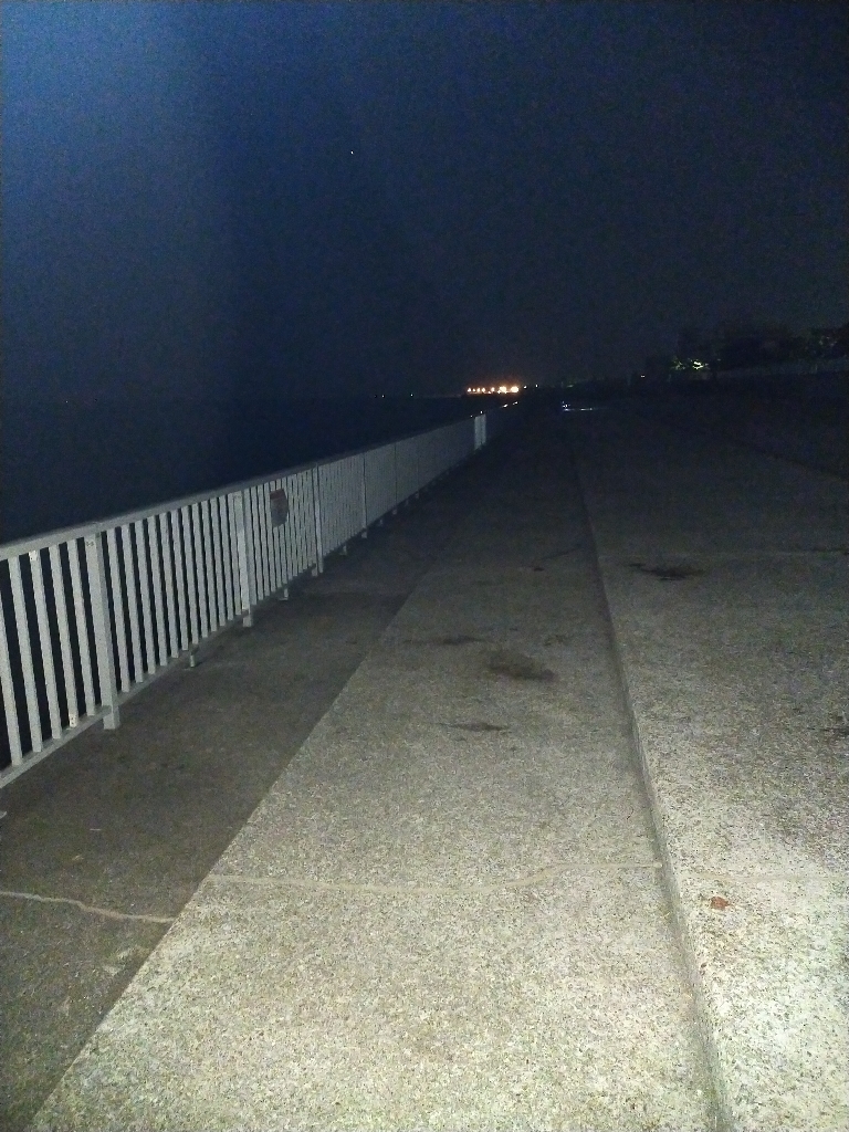 タチウオ引き釣り⑥