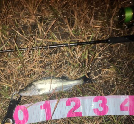 ソゲッちとチーバスでした。