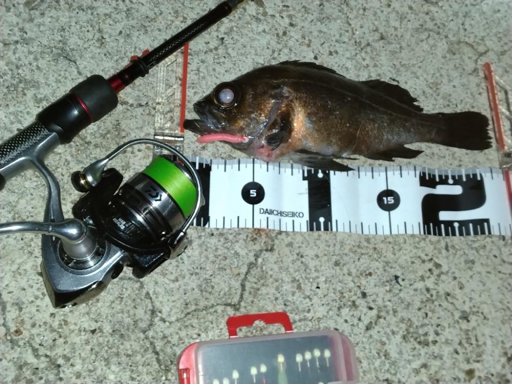 フロートメバリング