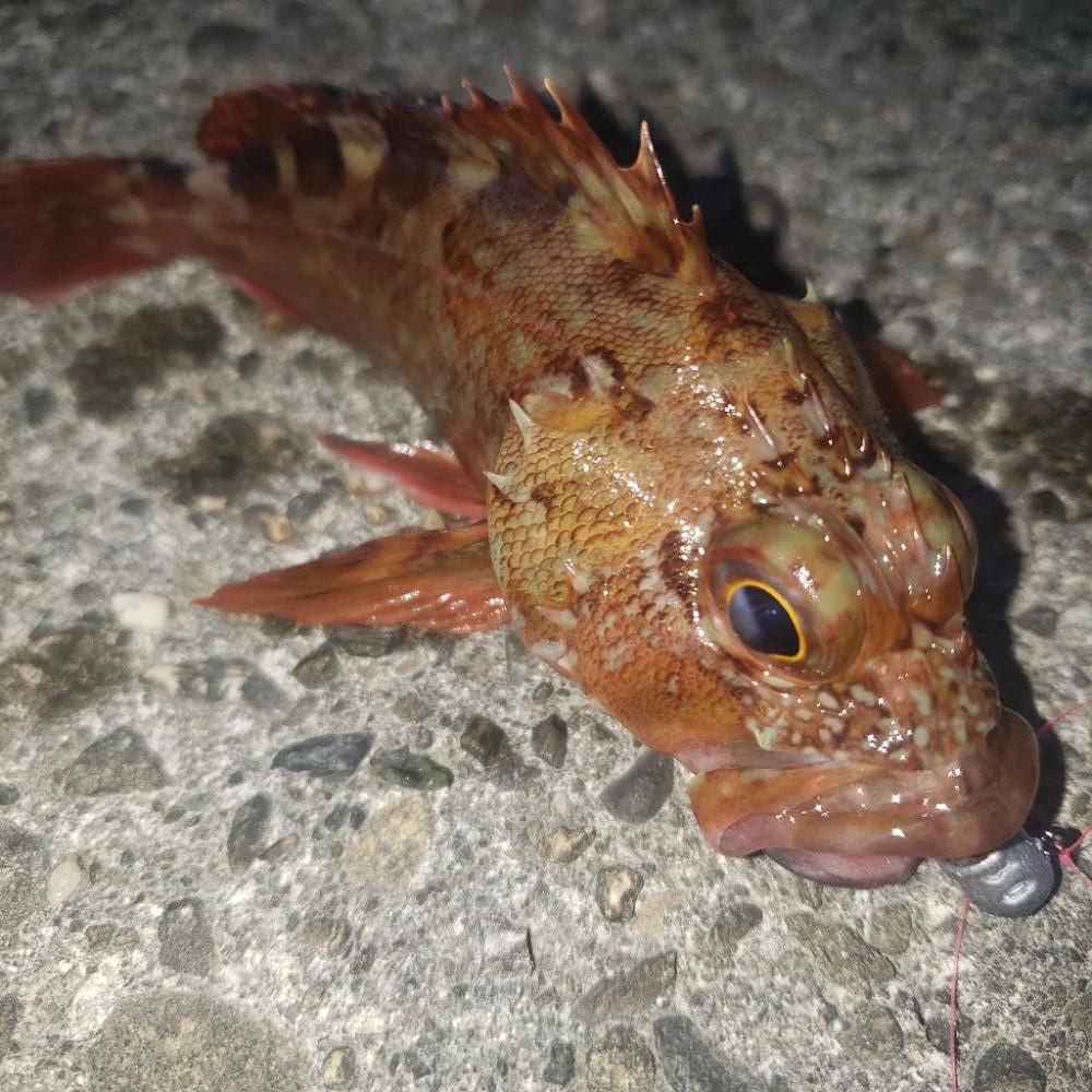 16時待ち合わせ！