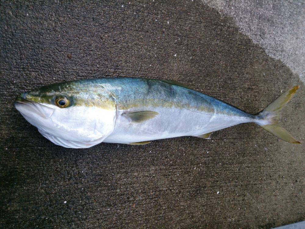 シーズン終盤戦