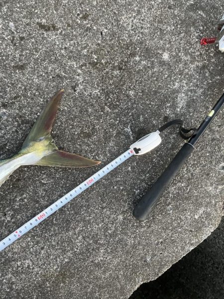 ギリギリ獲れた