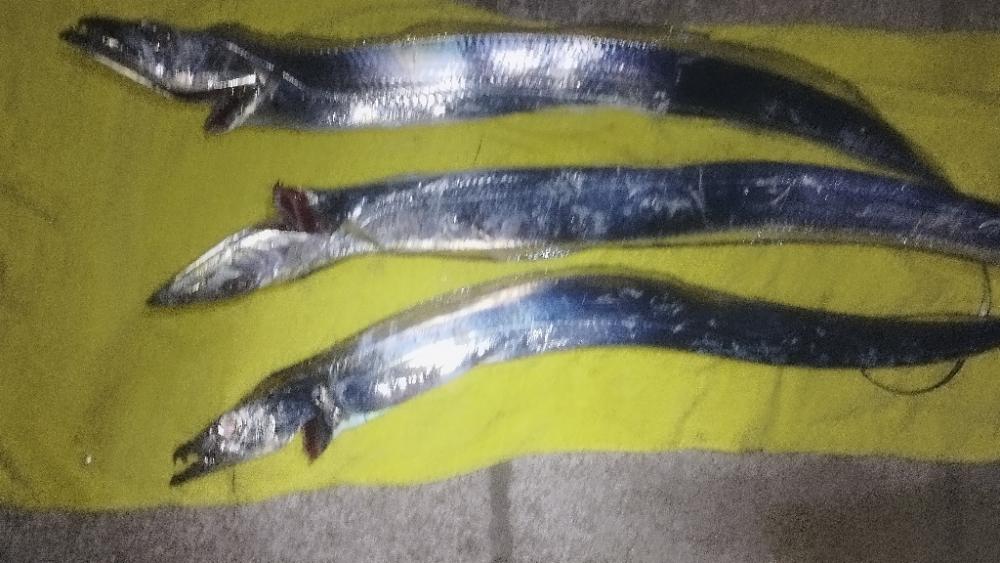 まだまだイケそう