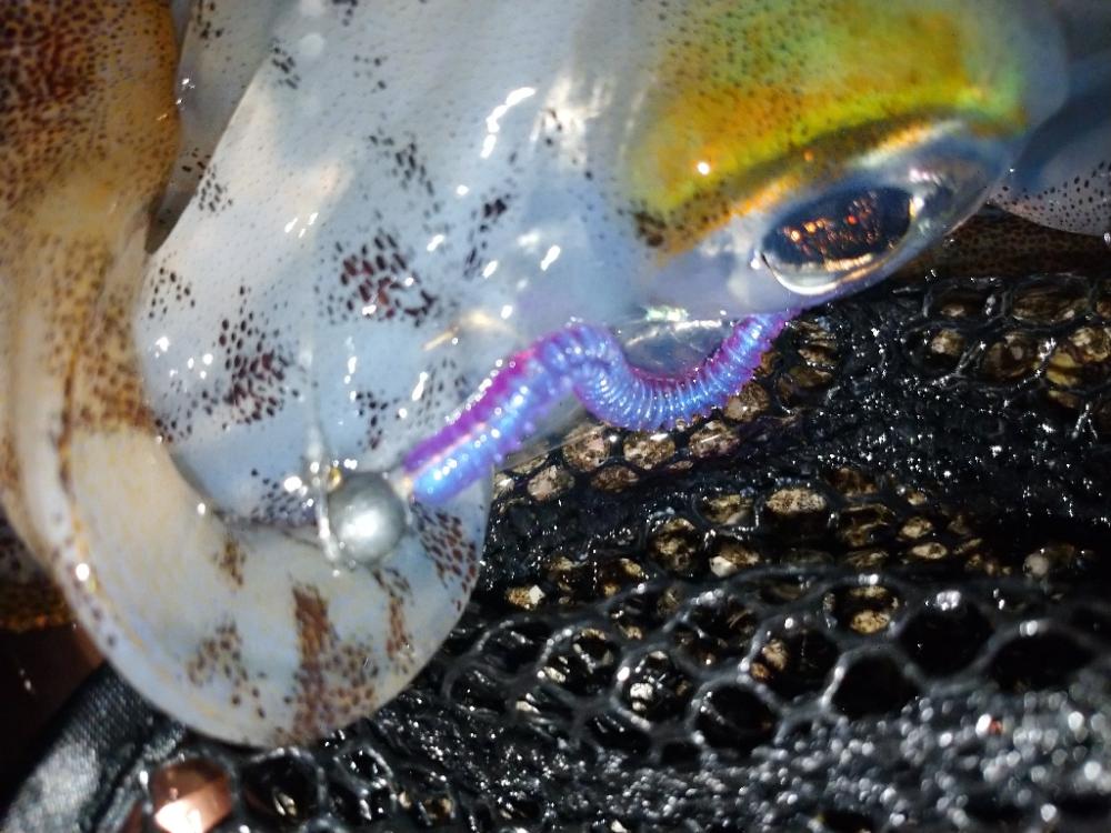 今夜もイージーシェイカー