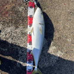 ★★とうとう奴が来た★★